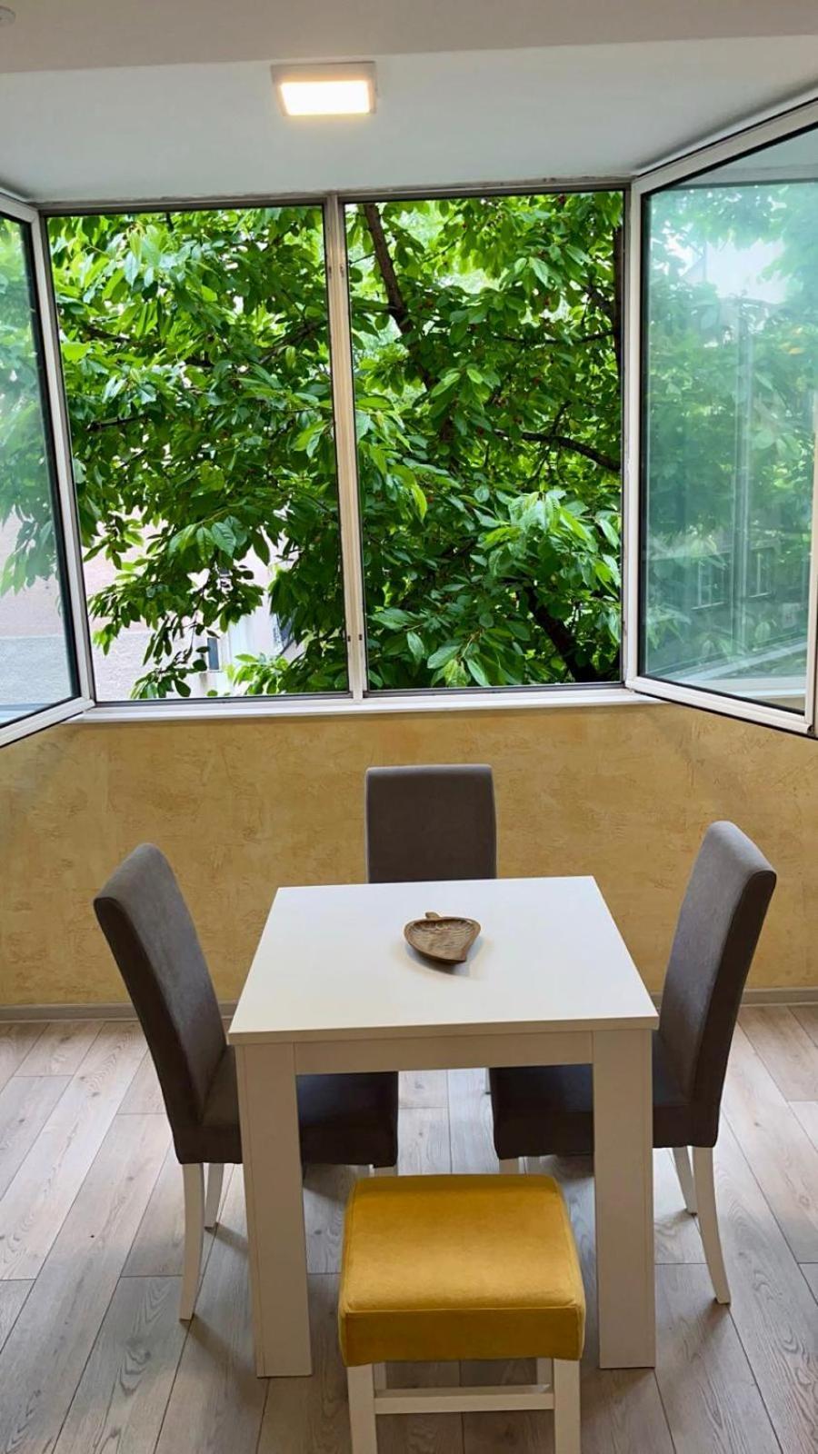 Modern One Bedroom In The Center Of Apartment